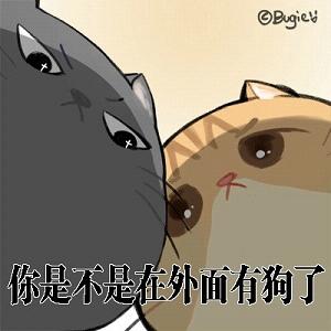 你是不是在外面有猫了表情包v1.0 最新版