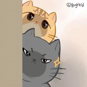 你是不是在外面有猫了表情包v1.0 最新版