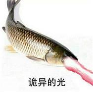 鱼诡异的光浙江水晶高清版v1.0 最新版