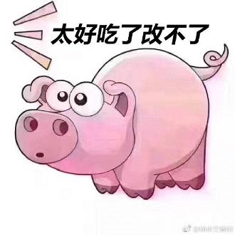 �ڸ����ʺ���������������