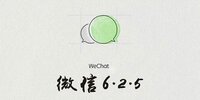 ΢��6.2.5