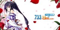733������