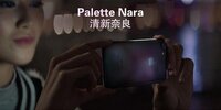 Palette Nara���