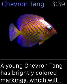 TouchFish Apple Watch��v1.7 �ٷ���