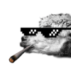 Thug life photo sticker makerī��������ѩ��pͼ��������