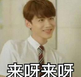 白敬亭表情包完整版下载
