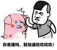吃吃吃就知道吃表情包下载完整版