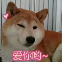 doge�������ͨС������