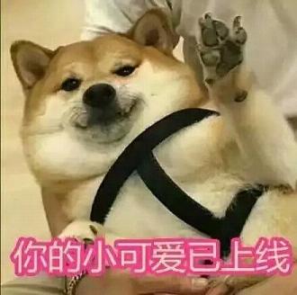 doge�������ͨС������