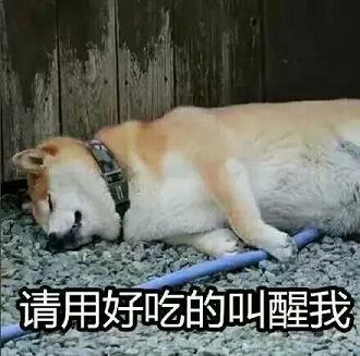 doge�������ͨС������