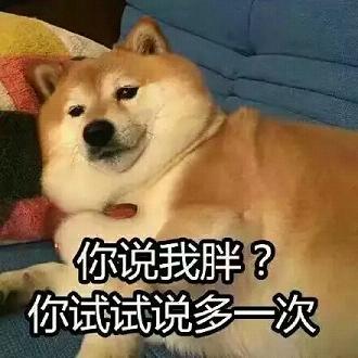 doge�������ͨС������