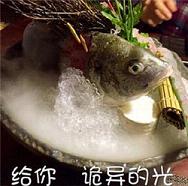 鱼诡异的光图文表情包下载