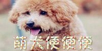 ��Ȯ���㸨��