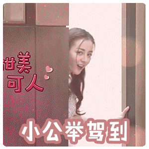 迪丽热巴跑男gif表情包v1.0 最新版