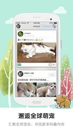 ����app�ٷ����°�����v1.0.0 �ֻ���