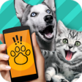 猫咪神器App安卓版v1.0 手机版