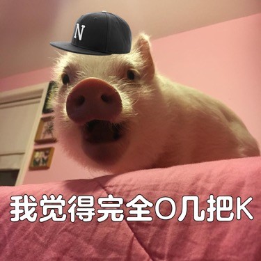 中国有嘻哈我觉得可以表情包大全超清版