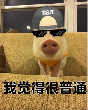 中国有嘻哈我觉得可以表情包大全超清版