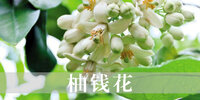��Ǯ��App