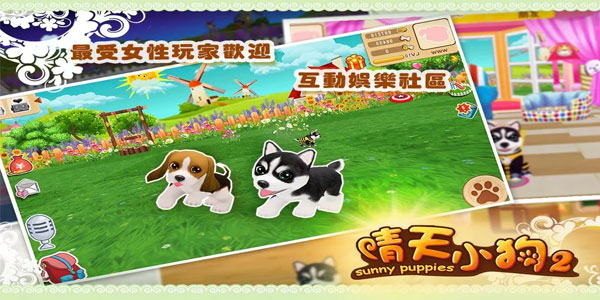 ����С��2���ΰ汾��ȫ-�ٷ���/����/�ٶ�/��Ѷ��