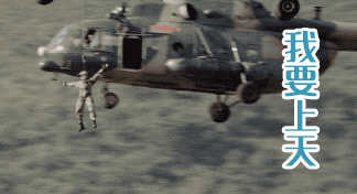 15015532955197569.gif