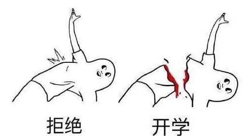 为什么要开学表情包完整版下载