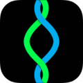 Looper������Ծ�ֻ���v1.4.5 ��׿��
