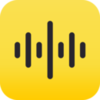 ������appv2.0 �ٷ���