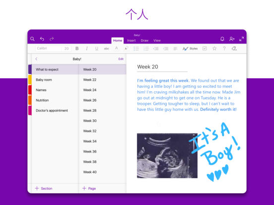 Microsoft OneNote iPad��v16.3.1 �ٷ���