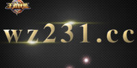 wz231.cc