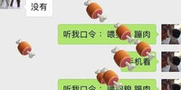 ���ҿ���:ι����,����