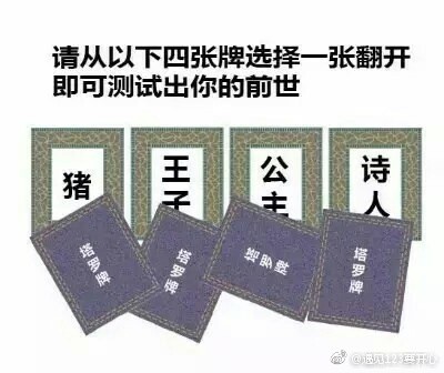 前世塔罗牌猪套图下载