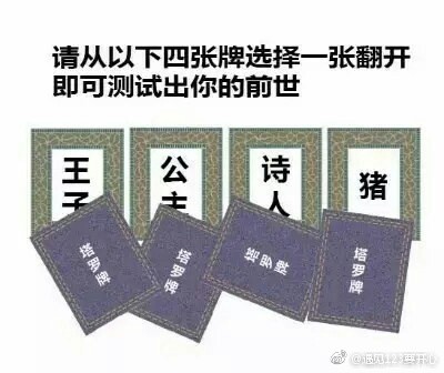 前世塔罗牌猪套图下载