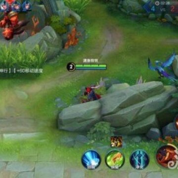 点击查看大图