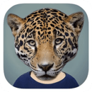 Animal Face�Դ���������������������v2.5.3 ���°�