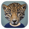 Animal Face�Դ���������������������v2.5.3 ���°�