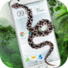 iSnake - 蛇在手上爬的整蛊app安卓下载v3.2.2 手机版