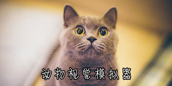 �����Ӿ�ģ����-�����Ӿ�������-����ģ�⶯���۾�����