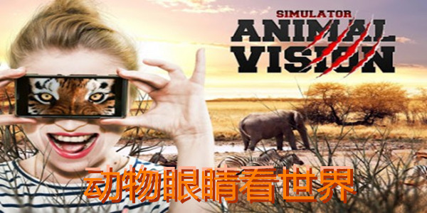 �����Ӿ�������-������Ұģ����-�����۾�ģ������
