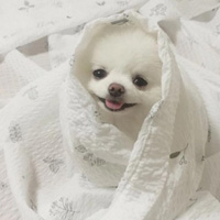 qq�ռ�˵˵���ɿɰ���ȫ �����տɰ��ռ�˵˵