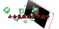 С����΢�Ŷ࿪����