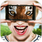 Vision animal simulator�������е�������������v1.2 ��׿��