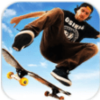 Skate Party 3(���峵�ɶ�3��������)v1.0.5 ��׿��