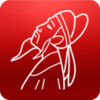 ʫ�ʸ���appv3.3.2.8 ��׿��