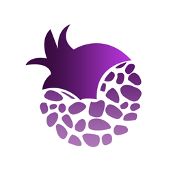 紫石榴应用商城app下载v1.0.0 安卓版