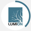 Lumion8������������