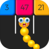 Snake Crash��Ϸ����v1.4.3 ���°�