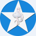 �ռ����޾����ƽ������v10.9 ���°�����