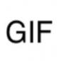 GIF������ѯС����