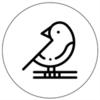 ֽ��app����v1.0.0 ���°�